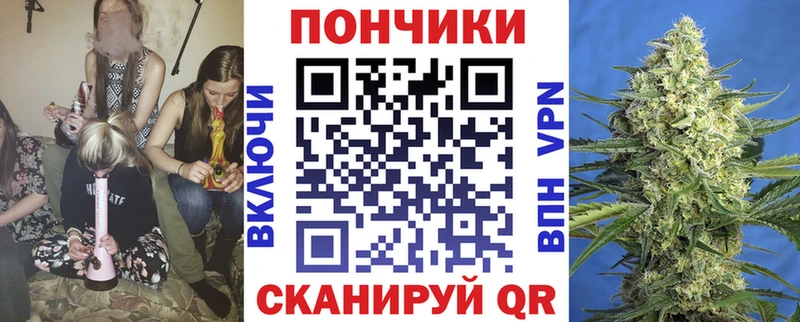 Каннабис SATIVA & INDICA  купить наркотики сайты  Кузнецк 