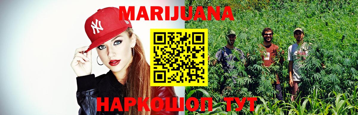 Марихуана гибрид Кузнецк